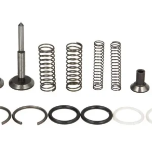 Cena promocyjna Zestaw naprawczy pompy hydraulicznej pasuje do MASSEY FERGUSON 100, 1000, 200, 4000, 500 1200/1250/150/230/230 UK/231/231 S/240/240 S/240 UK /243/4255/4255HV/4325/4325HV/550/565/575